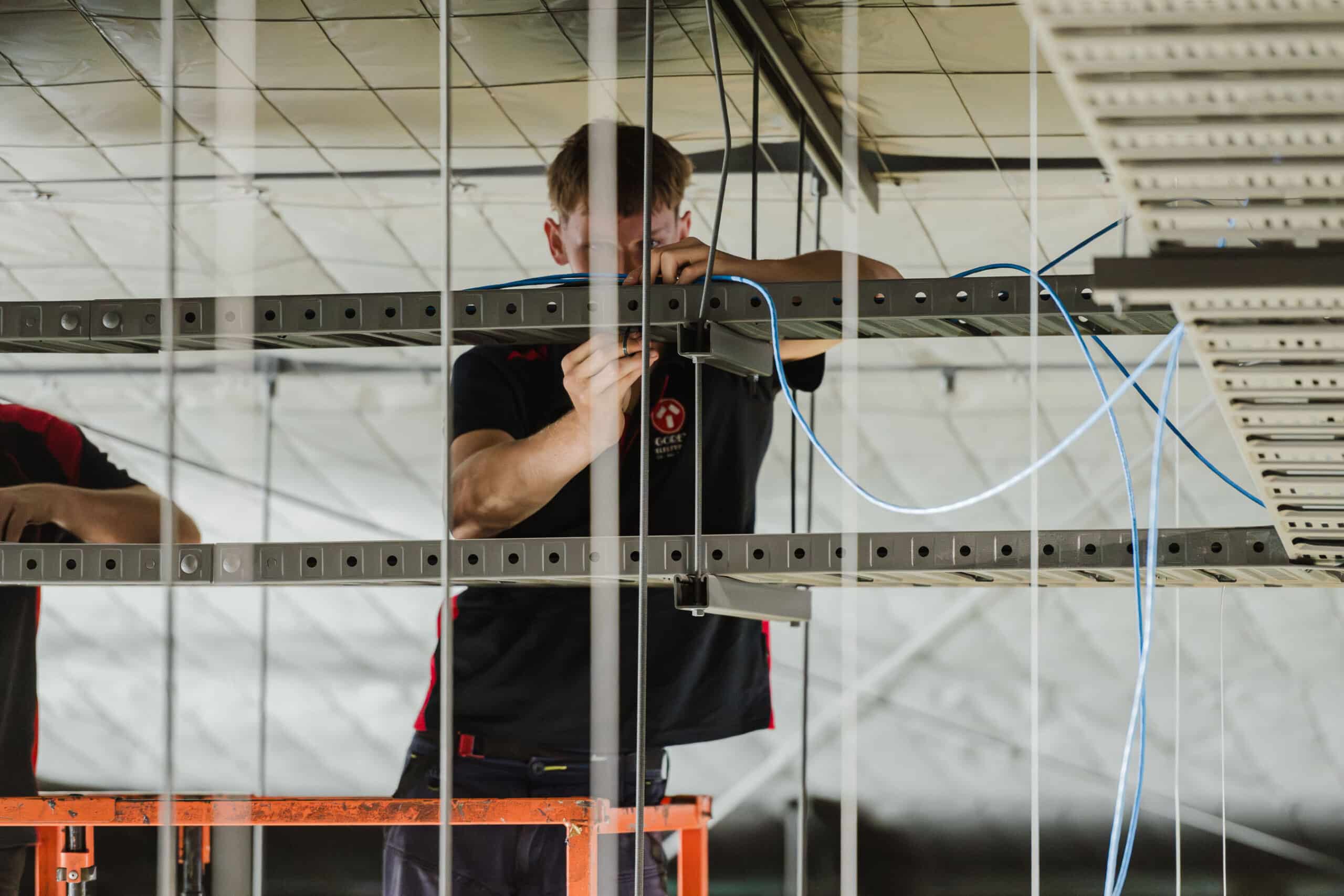Electrician routing network cables through overhead cable trays in a commercial ceiling.